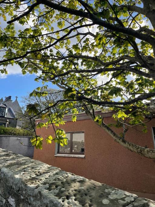 Cosy Cottage In Kveldrso Gardens Lerwick Extérieur photo
